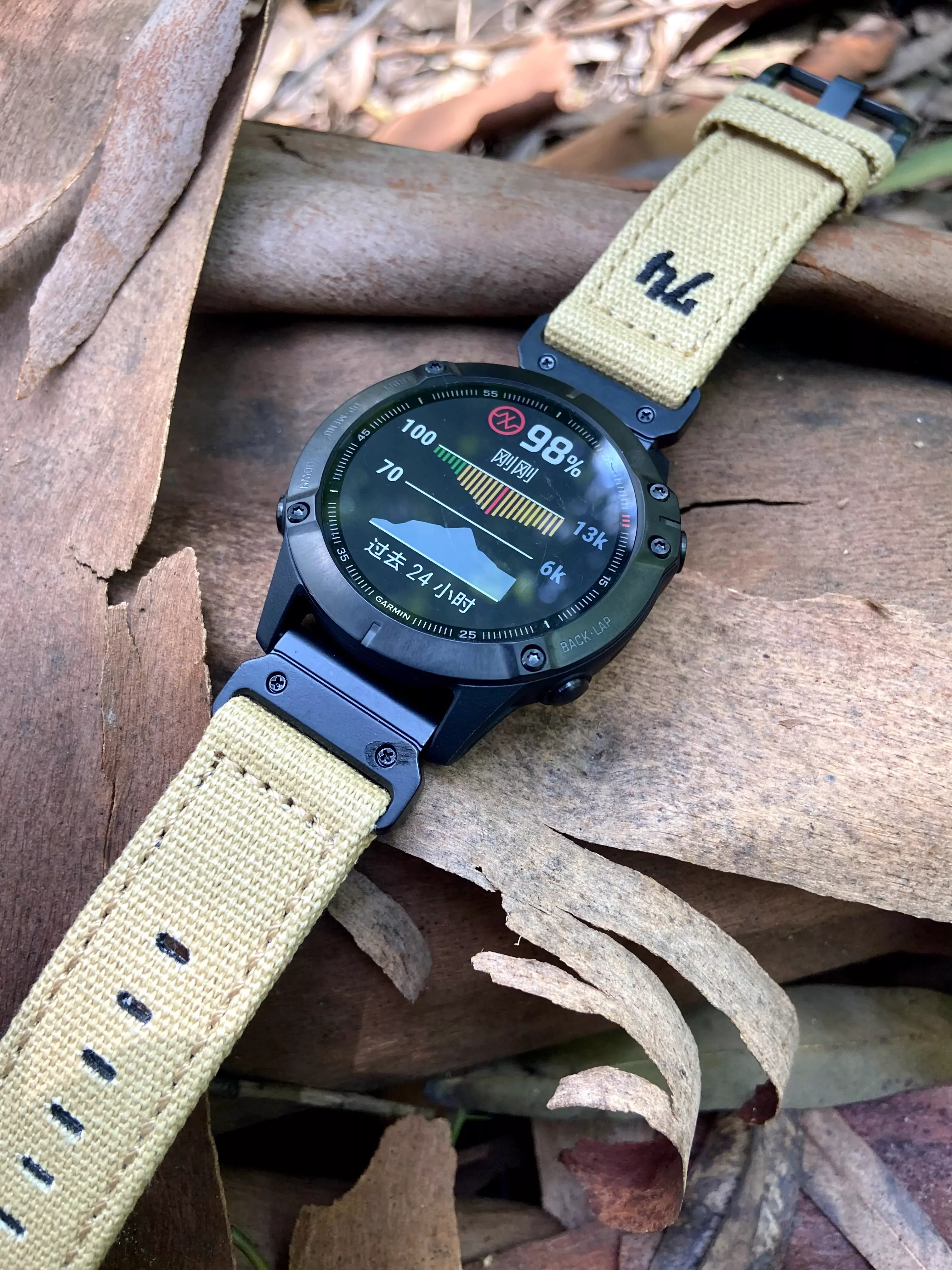 fenix 6 Quickfit 22mm